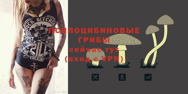 mix Белокуриха